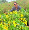 Sheetal